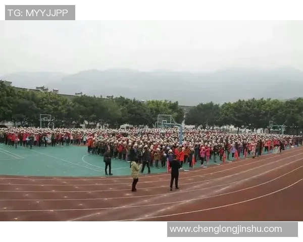 火柴人足球明星激情庆祝瞬间展现运动魅力与团队精神 火柴人足球明星激情庆祝瞬间展现运动魅力与团队精神