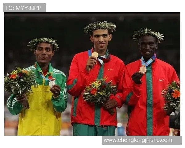 足球场上的传奇17号明星背后的故事与荣耀之路