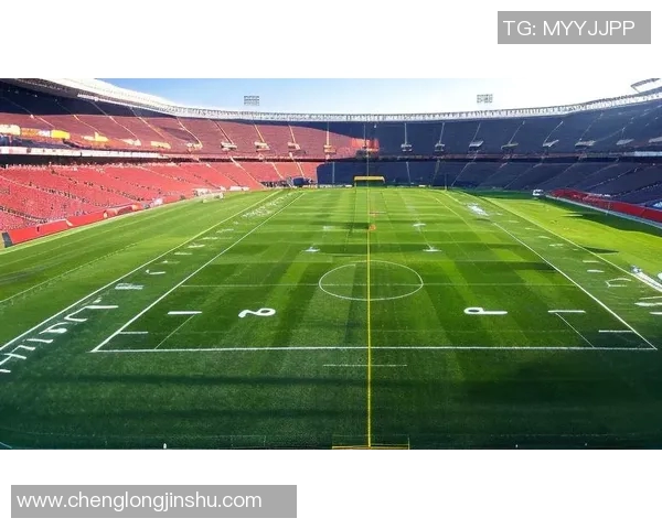 足球明星激情四溢瞬间捕捉热血沸腾的赛场风采与荣耀时刻