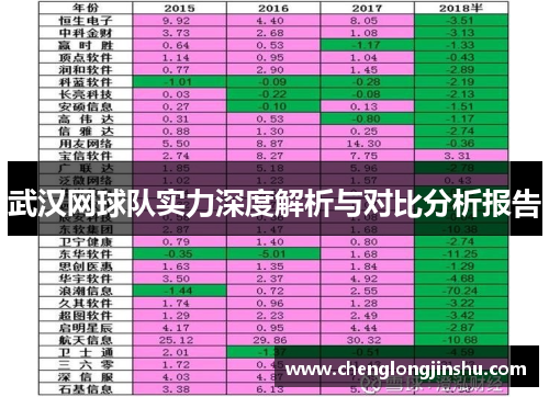 武汉网球队实力深度解析与对比分析报告