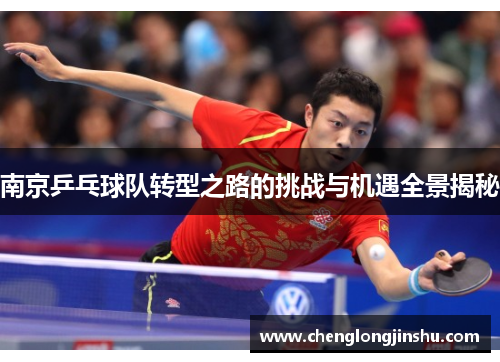南京乒乓球队转型之路的挑战与机遇全景揭秘