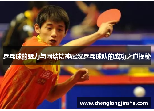 乒乓球的魅力与团结精神武汉乒乓球队的成功之道揭秘