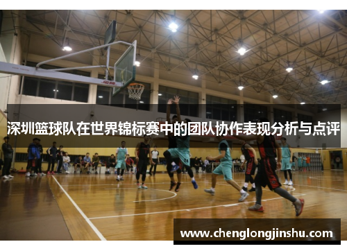 深圳篮球队在世界锦标赛中的团队协作表现分析与点评