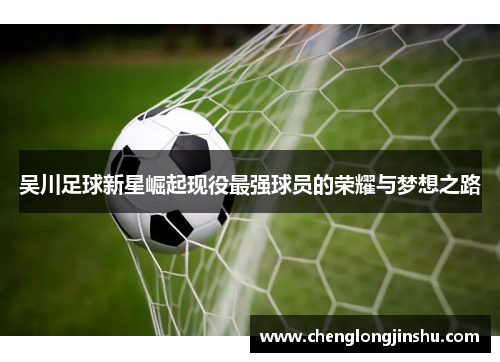 吴川足球新星崛起现役最强球员的荣耀与梦想之路